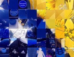 Bosnia_Detail_1_t.gif